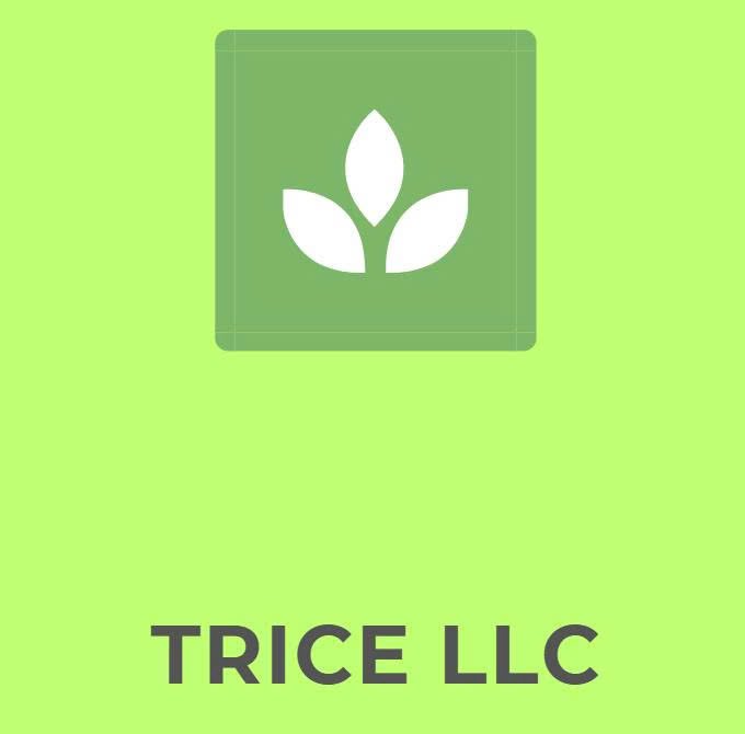 tricellc.qcbeagleshipping.com